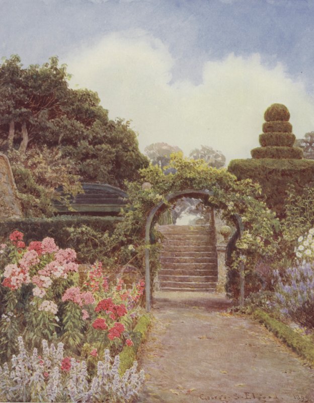 Crathes, Phlox alkotó: George Samuel Elgood