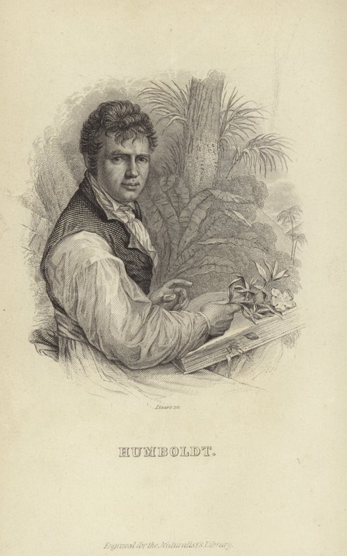 Alexander von Humboldt alkotó: German School