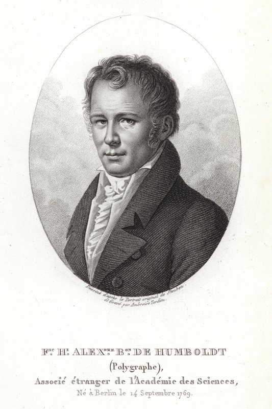 Alexander von Humboldt alkotó: German School