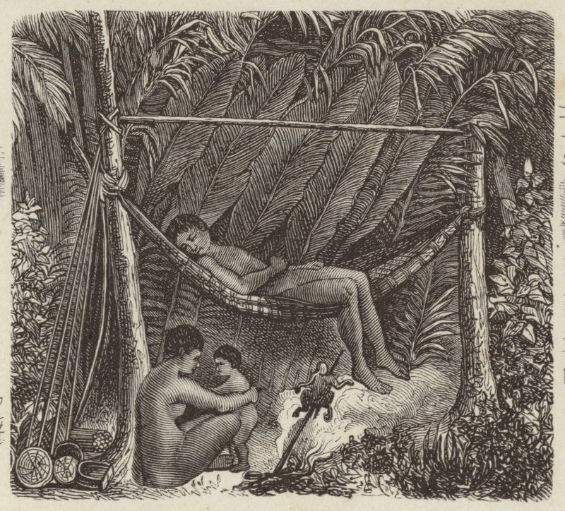 függőágyban pihenő brazil bennszülött (metszet) alkotó: German School