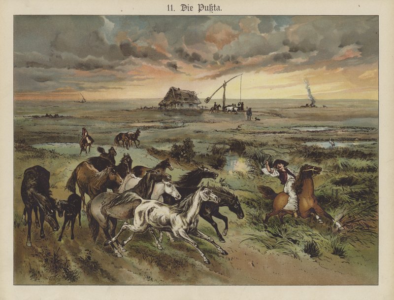Die Pukta (színes litó) alkotó: German School