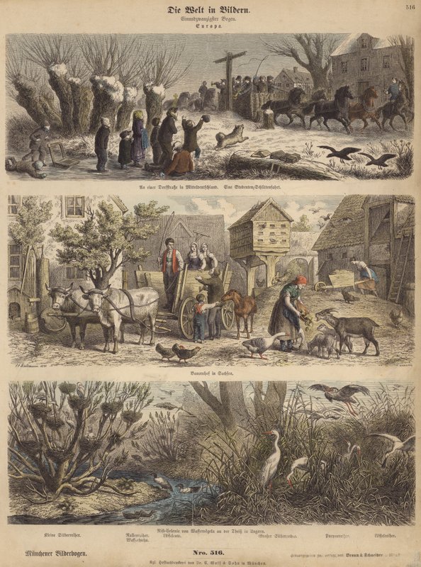 Európa (színes metszet) alkotó: German School