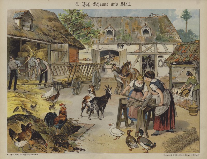 Farm (színes litó) alkotó: German School