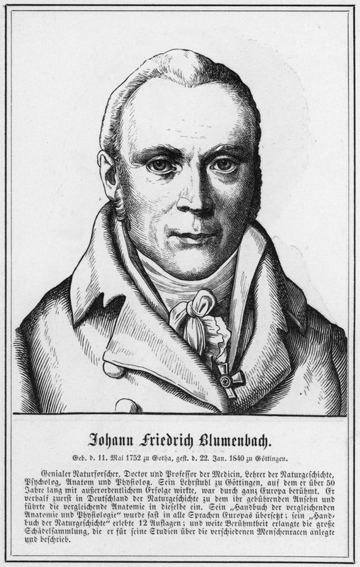 Johann Friedrich Blumenbach (metszet) alkotó: German School