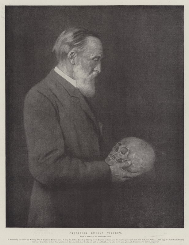 Rudolf Virchow professzor (litho) alkotó: German School