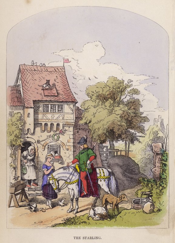 A seregély (színes litó) alkotó: German School