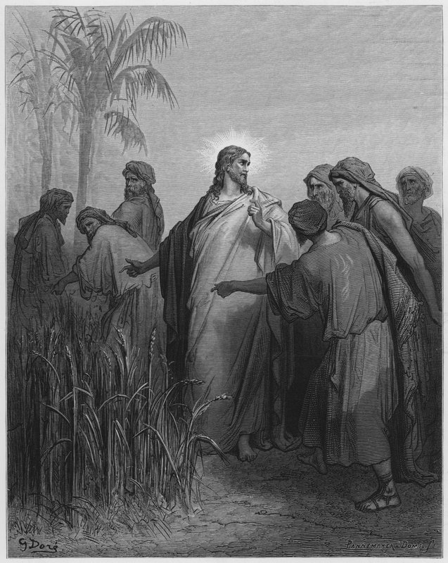 Gustave Dore Biblia: Jézus és tanítványai a kukoricatáblán alkotó: Gustave Dore