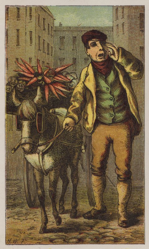 Costermonger (színes litó) alkotó: H.W. (after) Petherick