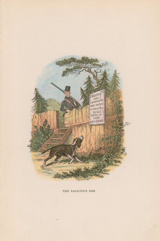 Illusztráció a Pickwick Papers számára alkotó: Hablot Knight Browne