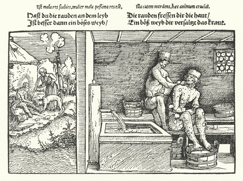 Rüh (metszet) alkotó: Hans (after) Burgkmair
