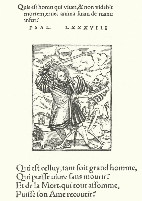 A nemes lovag (metszet) alkotó: Hans (after) Holbein the Younger