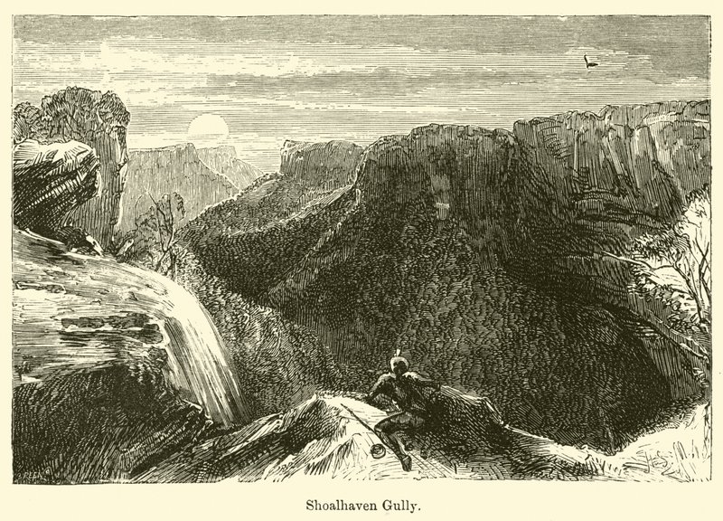 Shoalhaven Gully alkotó: Harden Sidney Melville