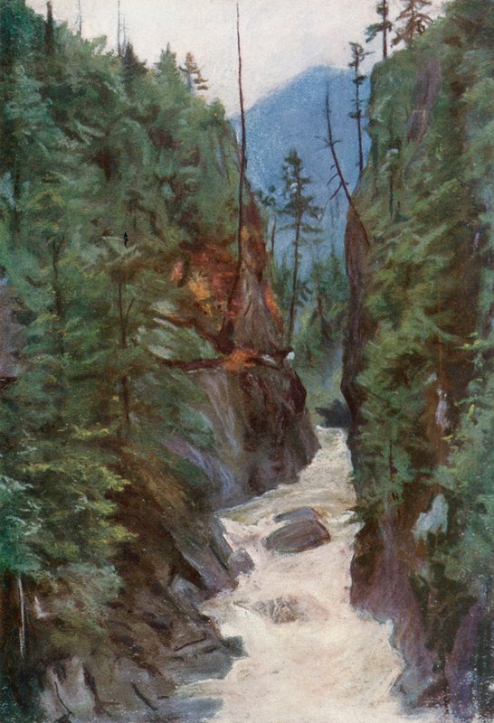 Capilano kanyon, Észak-Vancouver közelében alkotó: Harold Copping