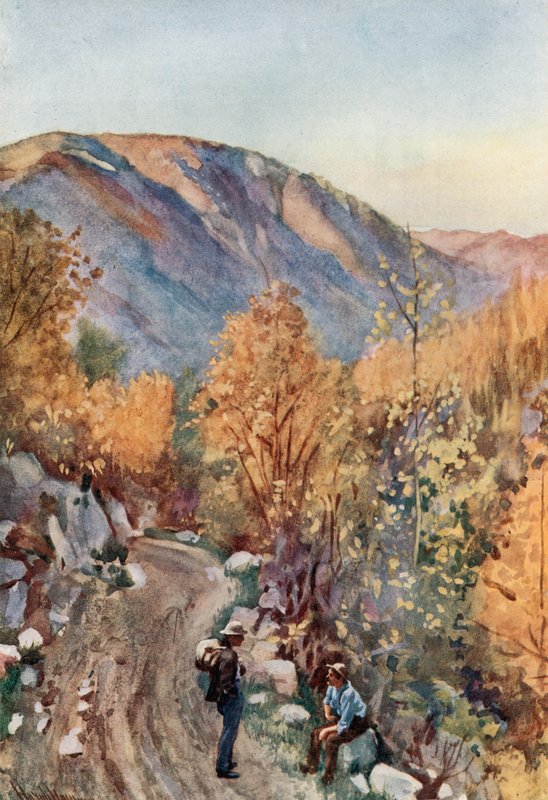 Mount Nelson alkotó: Harold Copping