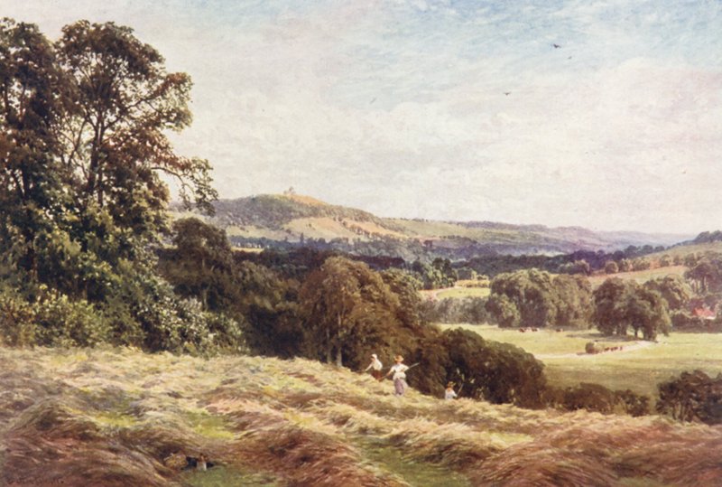 A Hayfield, Wonersh (színes litográfia) alkotó: Harold Sutton Palmer