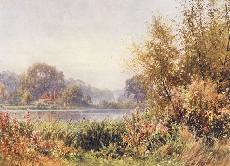 Őszi gyomok, Chilworth (színes litográfia) alkotó: Harold Sutton Palmer