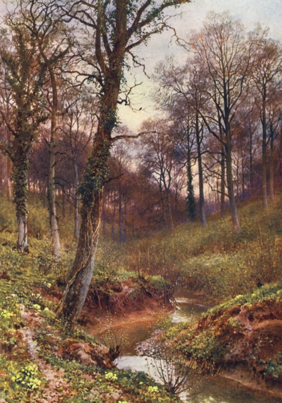 Evening Solitude, Ockley (színes litográfia) alkotó: Harold Sutton Palmer