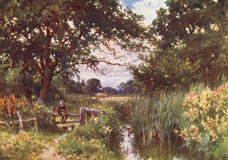 Chobham közelében (színes litográfia) alkotó: Harold Sutton Palmer