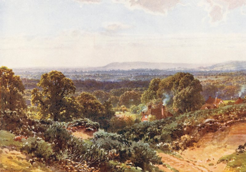 Homokdombok, Blackdown felé nézve (színes litográfia) alkotó: Harold Sutton Palmer