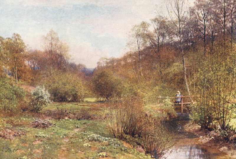 The Budding Year, Ockley (színes litográfia) alkotó: Harold Sutton Palmer