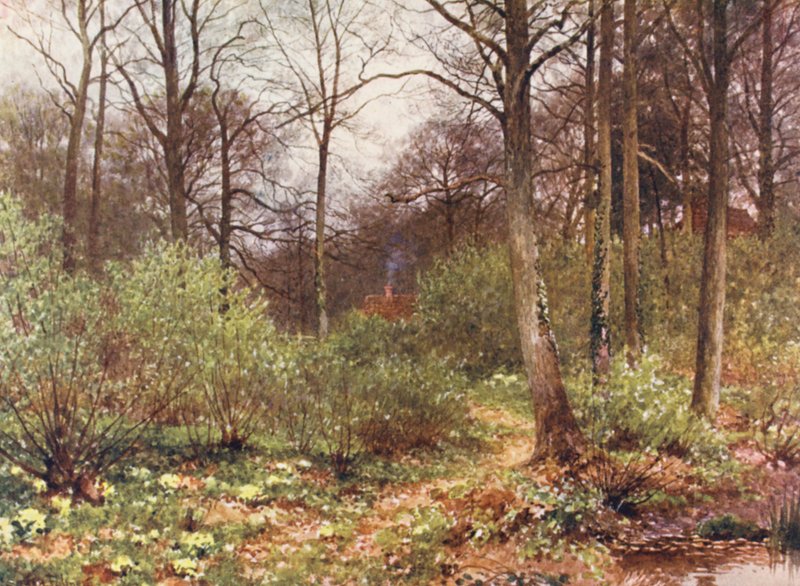 A vadőr bölcsője (színes litográfia) alkotó: Harold Sutton Palmer