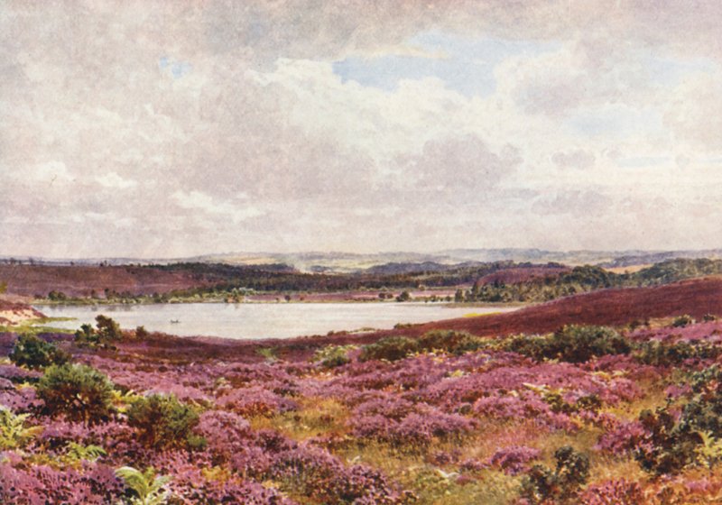 The Great Pond, Frensham (színes litográfia) alkotó: Harold Sutton Palmer