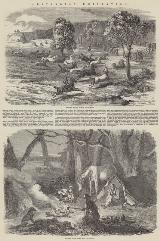 Ausztrál emigráció alkotó: Harrison William Weir