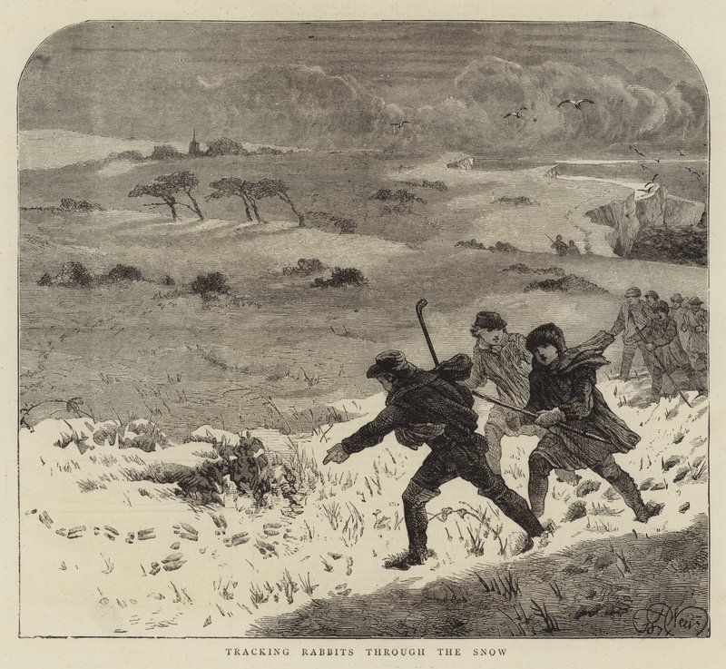 Nyulak követése a hóban alkotó: Harrison William Weir