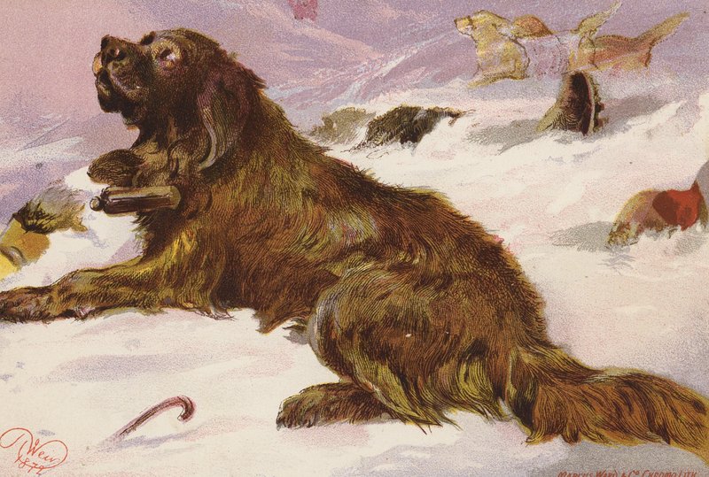 Alp megmenti Péter bácsit (színes litográfia) alkotó: Harrison William Weir