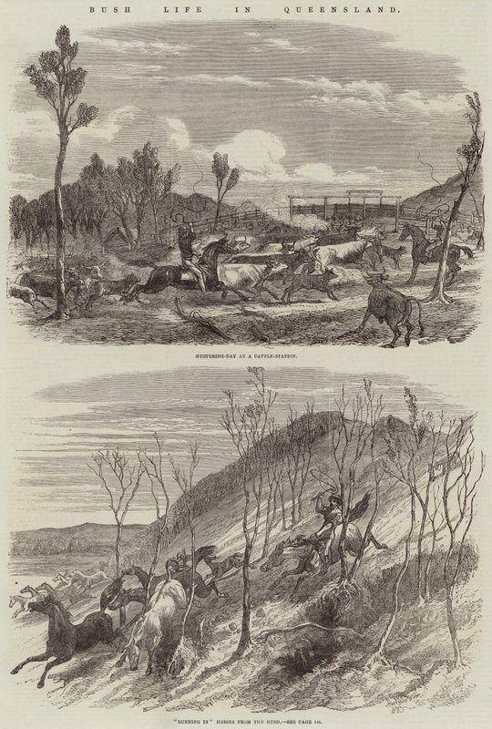 Bush élete Queenslandben alkotó: Harrison William Weir