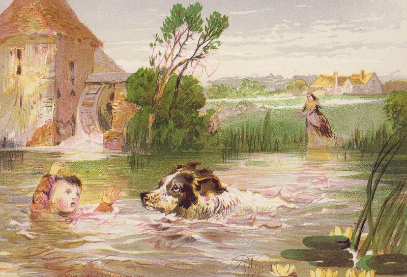 Charley életét megmentő kutya (színes litográfia) alkotó: Harrison William Weir