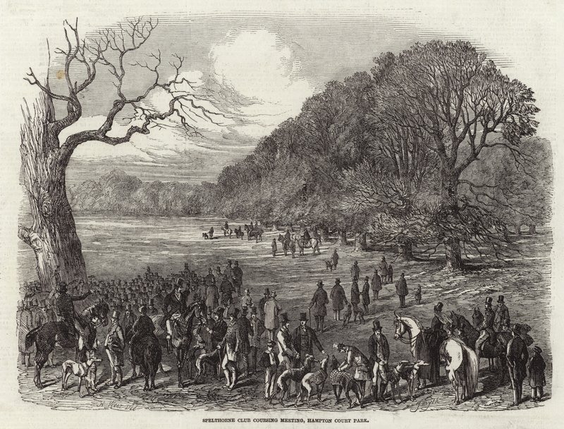 Spelthorne Club Coursing Találkozó alkotó: Harrison William Weir