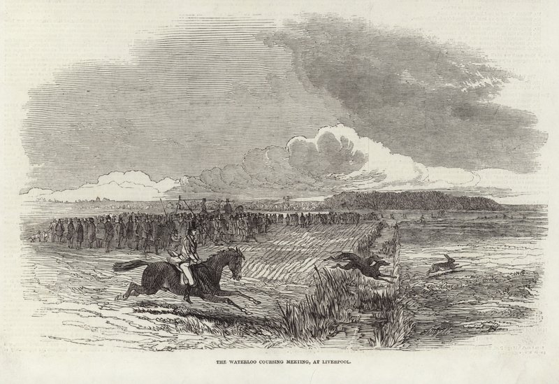 A Waterloo Coursing Találkozó alkotó: Harrison William Weir