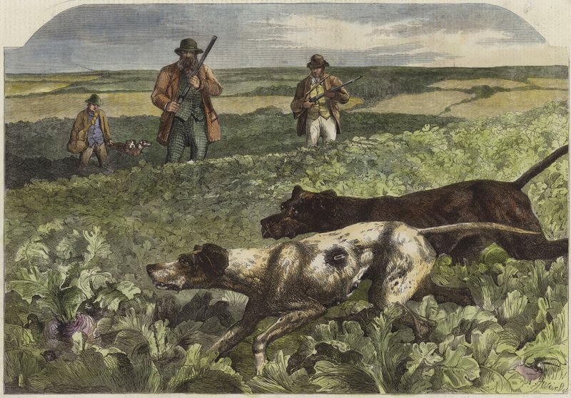 Szeptember elseje alkotó: Harrison William Weir