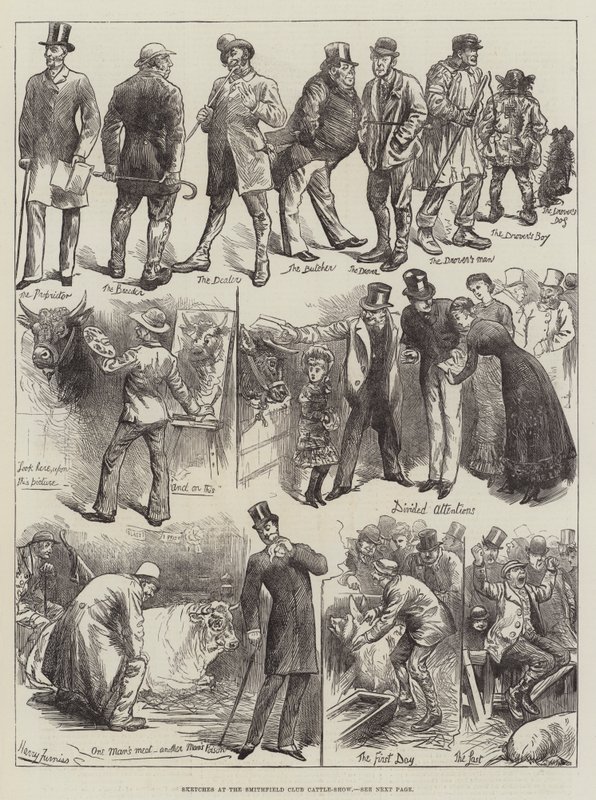 Vázlatok a Smithfield Club Cattle-Show-n alkotó: Harry Furniss