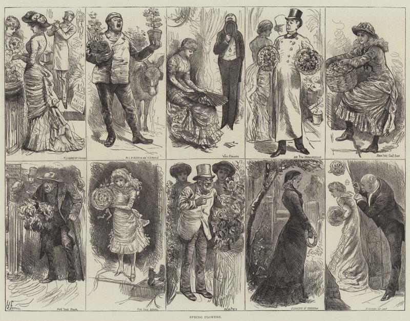 Tavaszi virágok alkotó: Harry Furniss