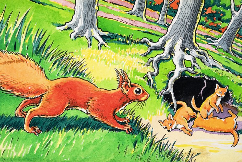 Kis Vörös Mókus alkotó: Harry M. Pettit