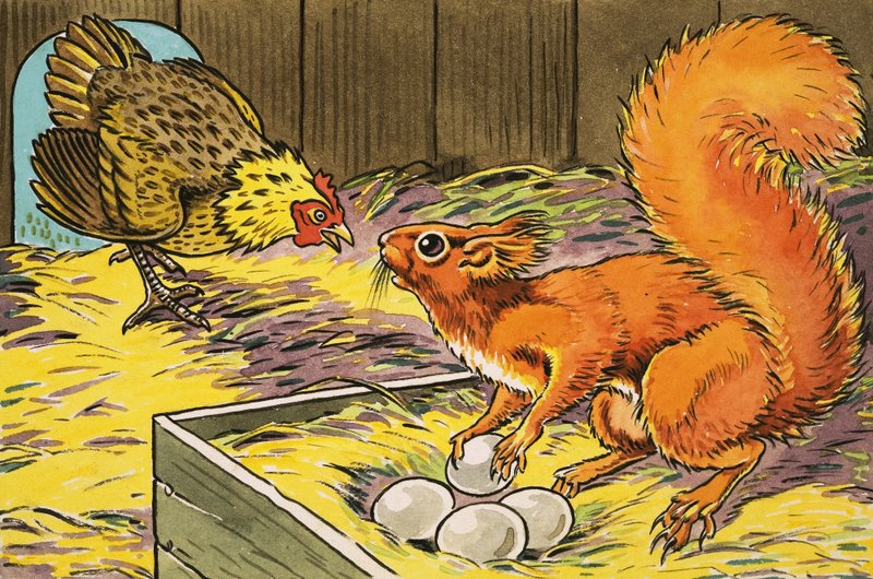 Kis Vörös Mókus alkotó: Harry M. Pettit