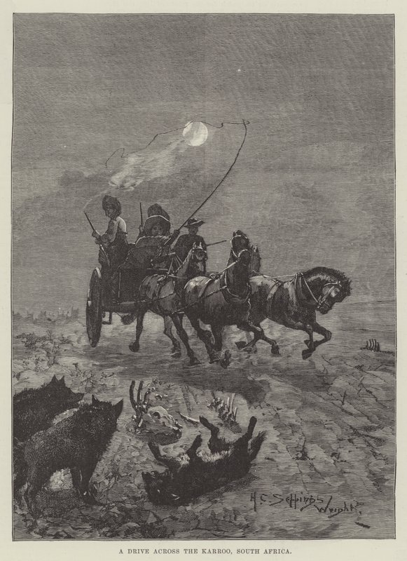 Hajtás a Karroo-hegységen át, Dél-Afrika alkotó: Henry Charles Seppings Wright