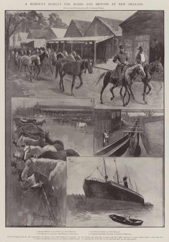 A búr és britek remount piaca New Orleansban alkotó: Henry Charles Seppings Wright