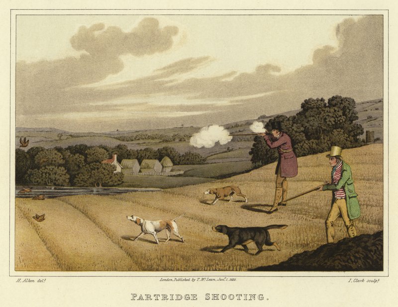 Partridge-lövészet (chromolitho) alkotó: Henry Thomas Alken