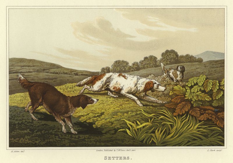 Szetterek (chromolitho) alkotó: Henry Thomas Alken