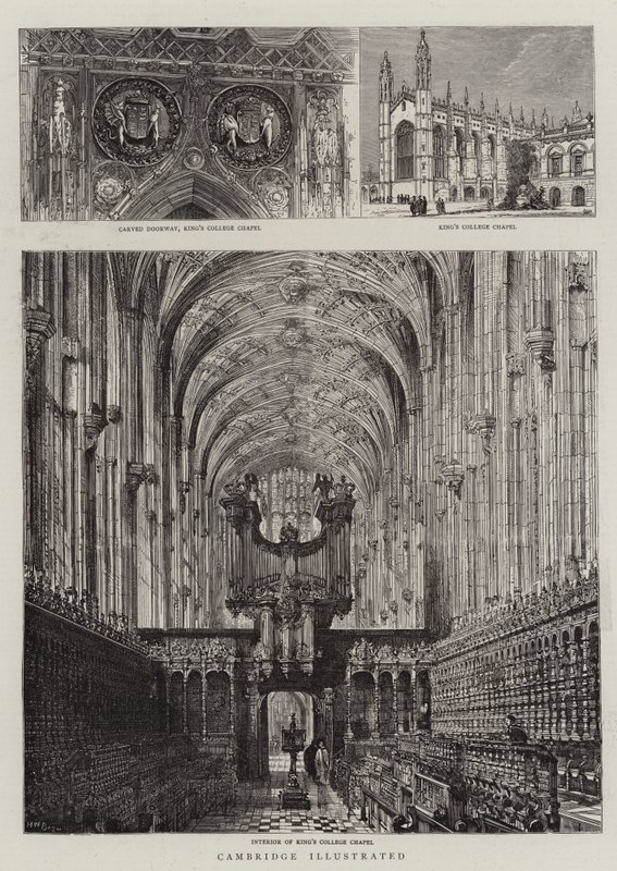 Cambridge Illustrated alkotó: Henry William Brewer