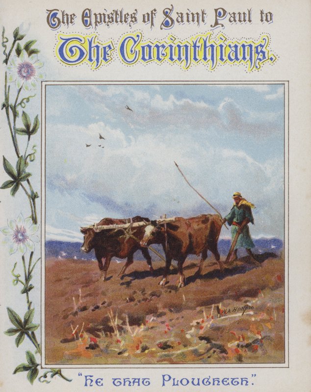 Aki szánt (chromolitho) alkotó: Henry Andrew Harper
