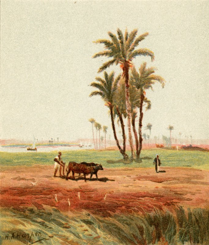 A terepen alkotó: Henry Andrew Harper