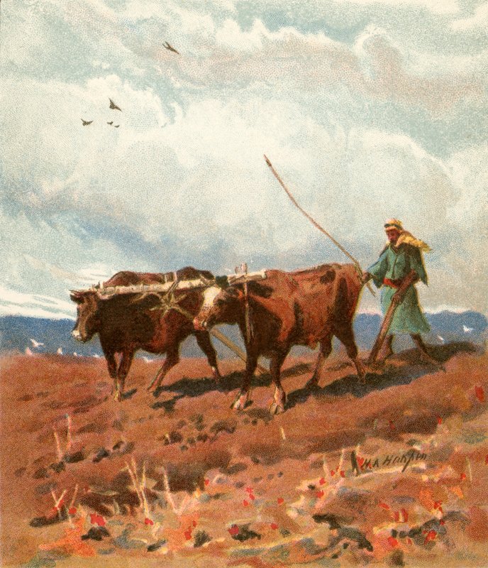 Szántás alkotó: Henry Andrew Harper