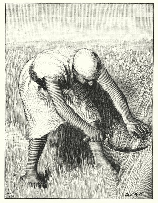 Aratás keleten (litho) alkotó: Henry Andrew Harper