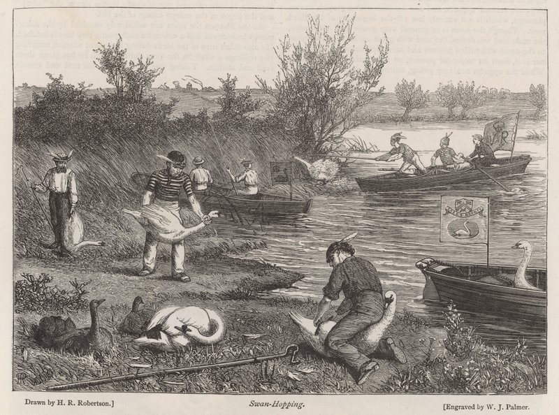 Hattyúugrás alkotó: Henry Robert Robertson