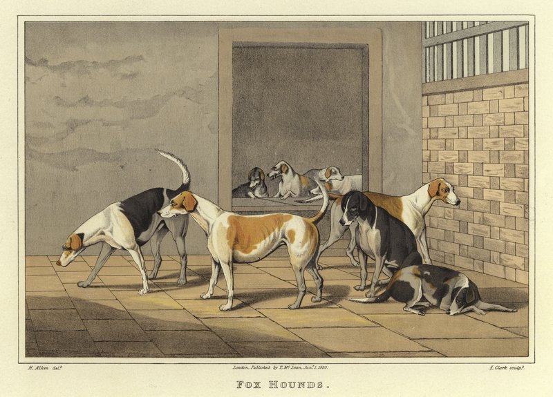 Rókakutyák (chromolitho) alkotó: Henry Thomas Alken