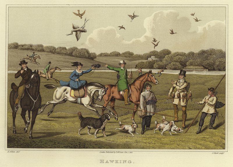 Hawking (chromolitho) alkotó: Henry Thomas Alken